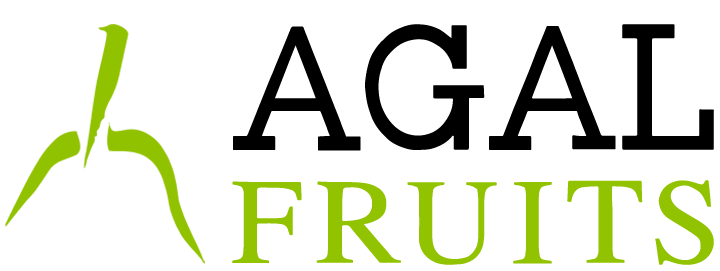 AGRIC.ALBATARREC I SECCIO CREDIT