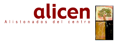 ALICEN