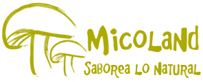MICOLAND BIOTECH