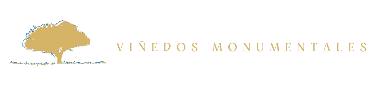 CALLEJA MILLAN, ALBERTO