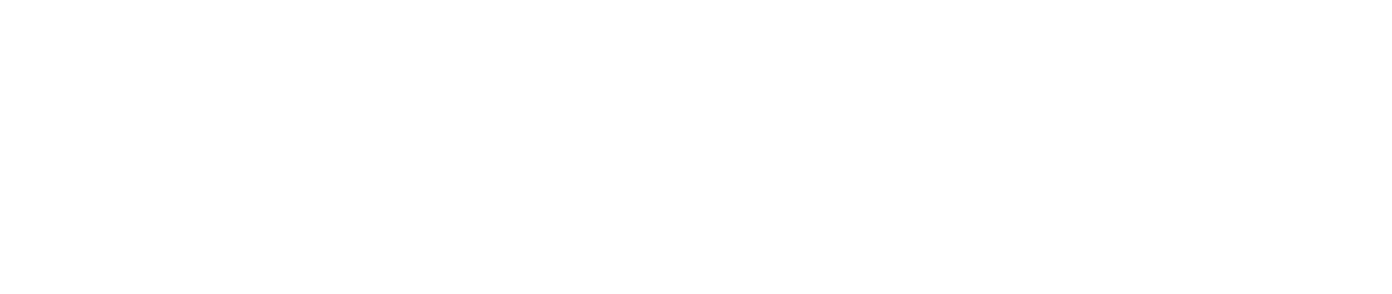 B DE BRUNO DOG GOODS
