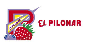 Compañia