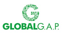 Compañia