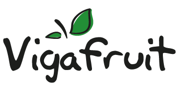 VIGAFRUT HNOS