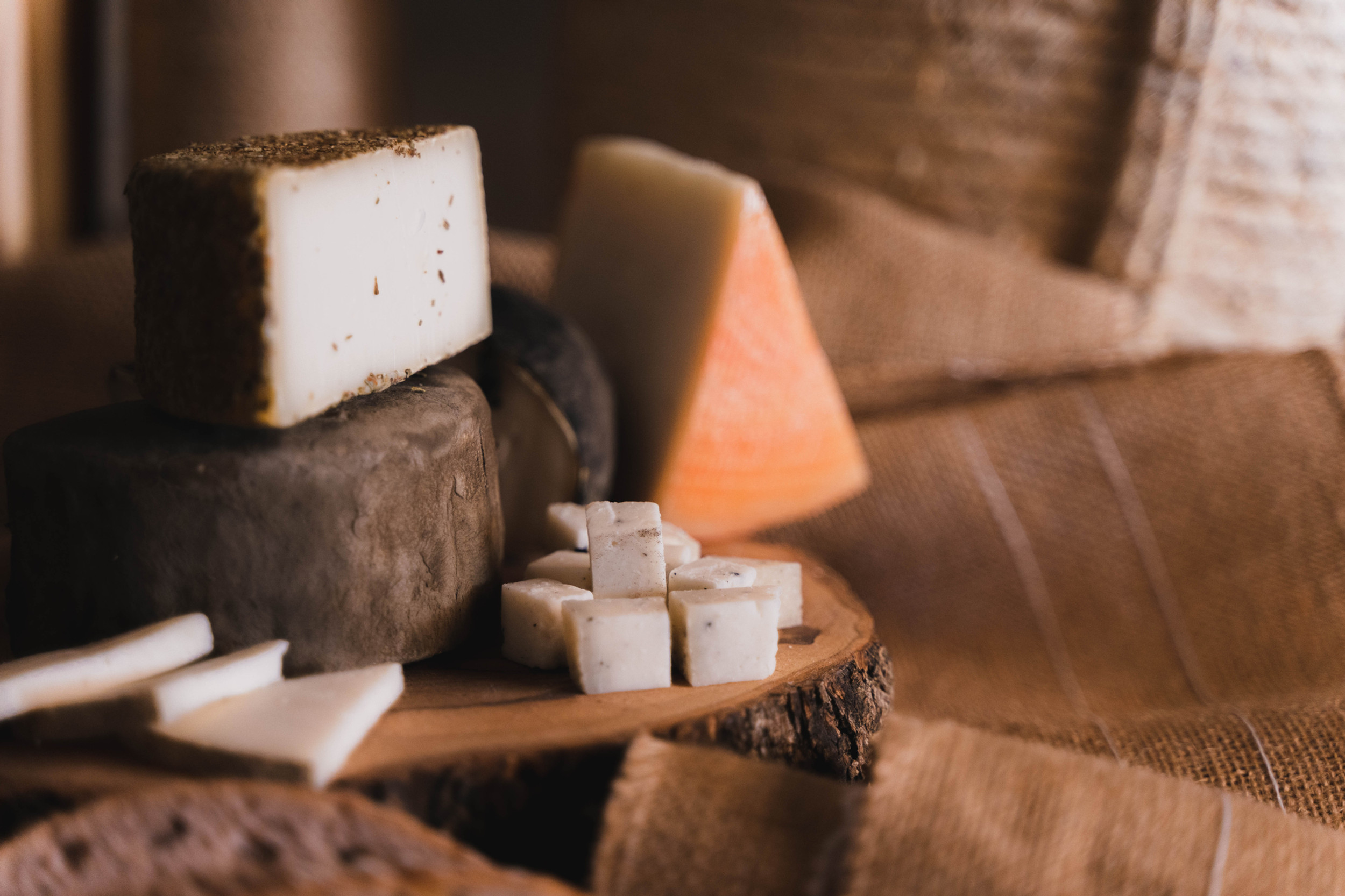 QUESOS DE CATI COOP. V.