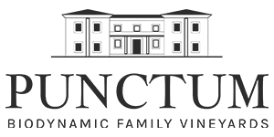 GRUPO SÁNDALO GESTIÓN EMPRESARIAL