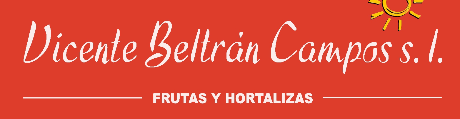 VICENTE BELTRAN CAMPOS