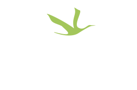 Compañia