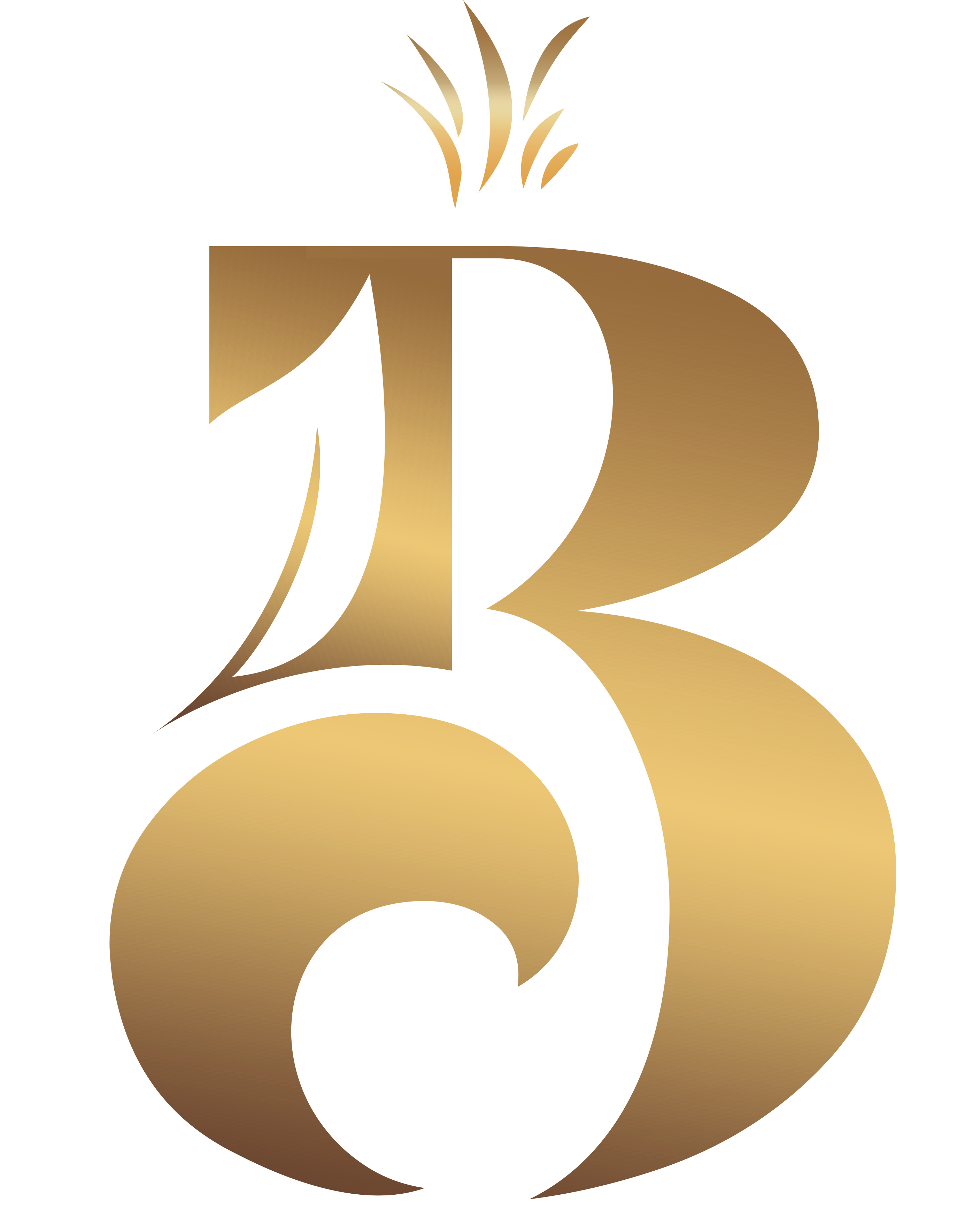 CEBOLLAS BERNAL, SOCIEDAD LIMITADA.