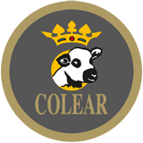 COLEAR CASTILLA LEON