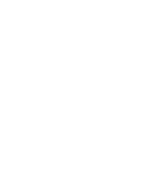 LA FLOR DE LIMON