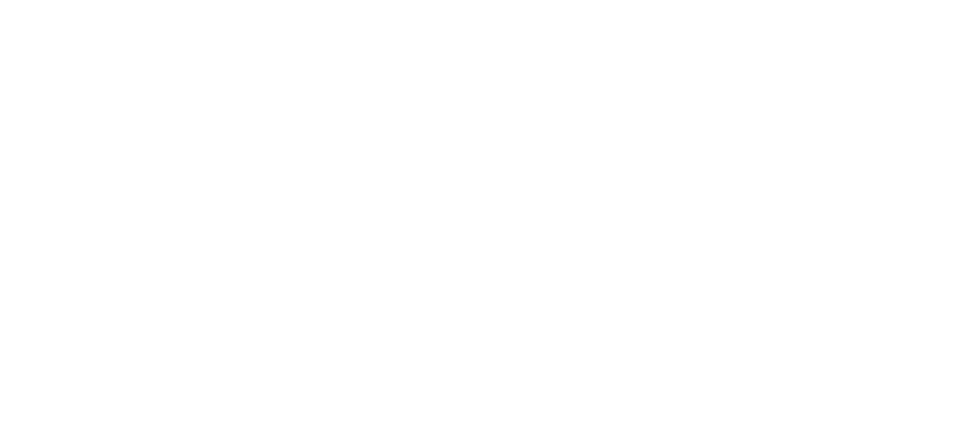 FRUITS SECS TORRA