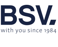 BSV ELECTRONIC SL