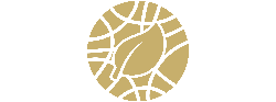 Compañia