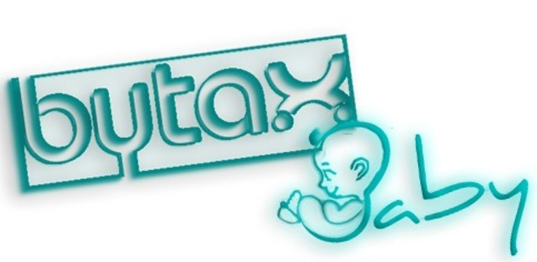 CREACIONES BYTAX SL