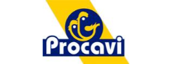 PROCAVI S.L.