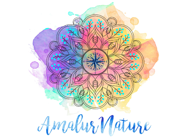 MARÍA DEL PILAR BLAYA VERDÚ