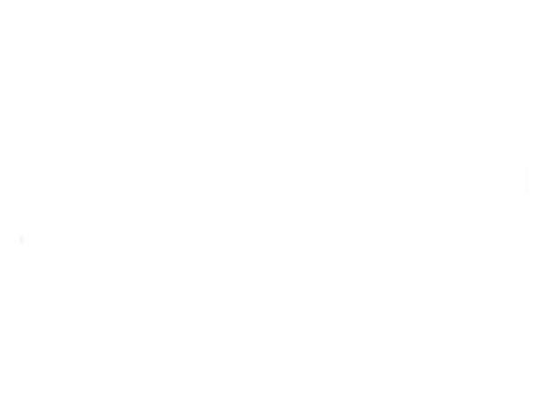 BLUCO BRANDS DISTRIBUTIONS SOCIEDAD LIMITADA.