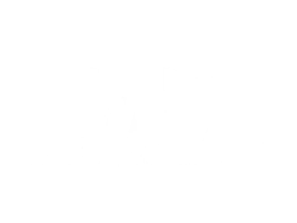 BRACO BASICS SOCIEDAD LIMITADA.