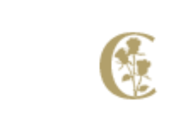 BODEGAS VEGA DEL CASTILLO