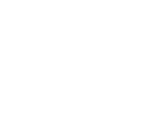 PRODUCTO DE ALDEA