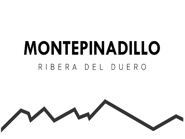 BODEGA SAN ROQUE DE LA ENCINA, S.C.
