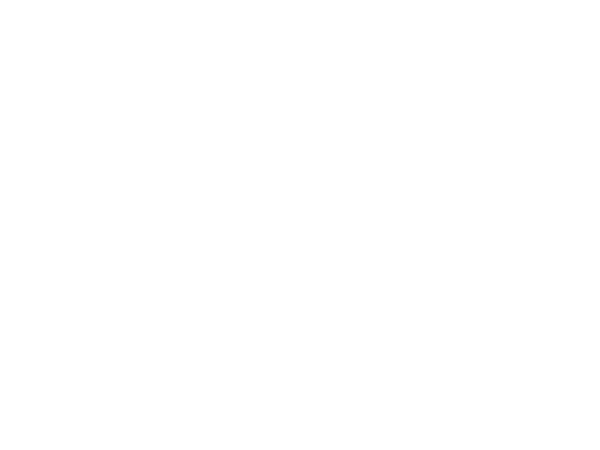 SNOW FACTORY S.L.
