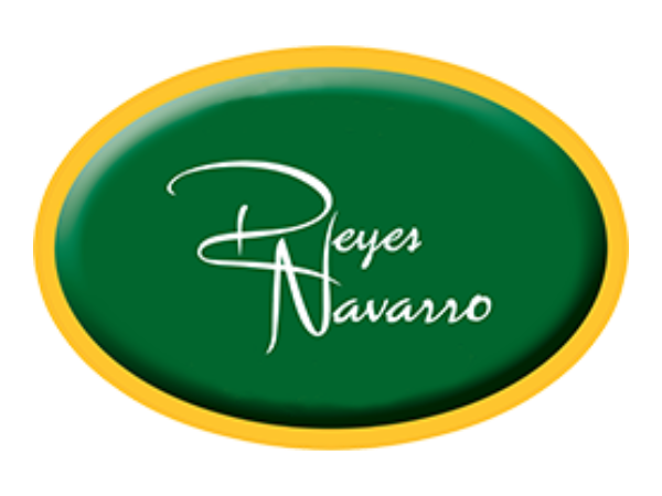 REYES LOPEZ, MANUEL