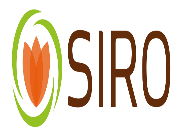 LEAL E SOARES ESPAÑA