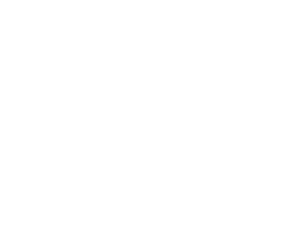 VAQUERO ORTIZ, MANUEL