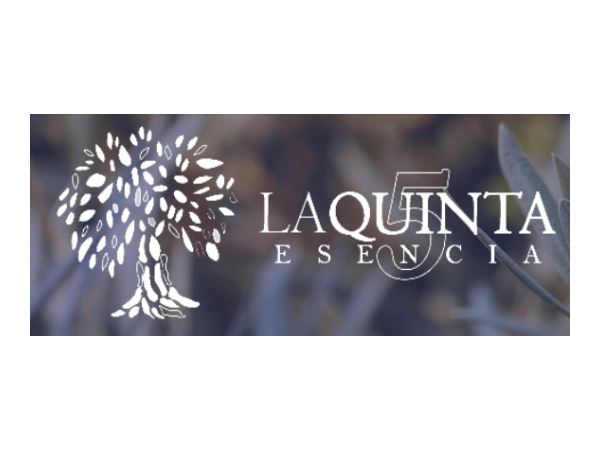 S.C.A SANTISIMO CRISTO DE LA MISERICORDIA