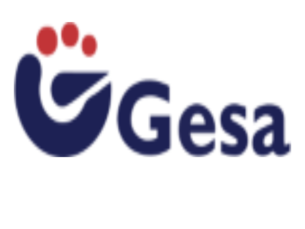 GESA TERMOMETROS SOCIEDAD LIMITADA.
