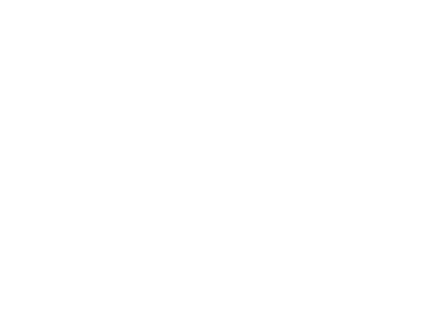 STEP BALANCE