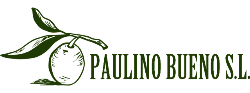 PAULINO BUENO