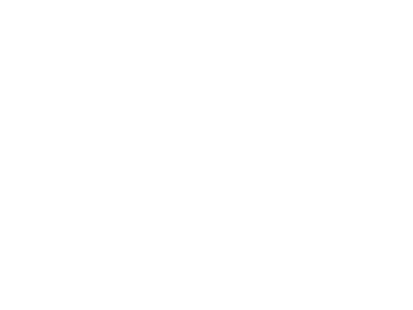 DCJ BUENA CARNE SL.
