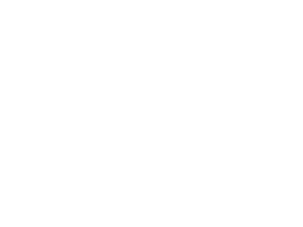 GRUPO SURISOL A.F., S.L.
