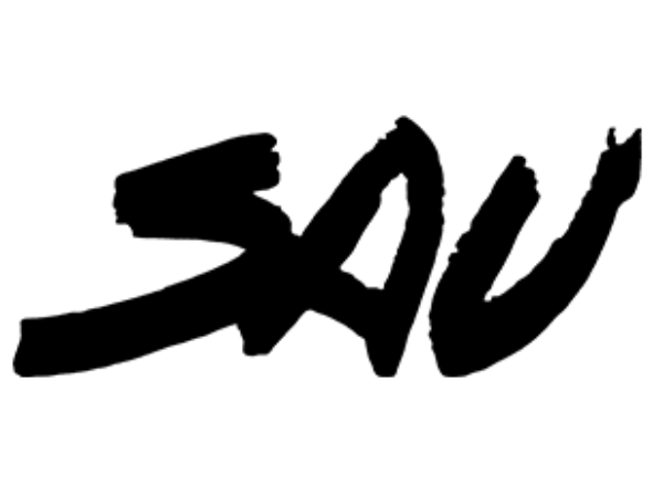 FUNDACIO S.A.U.