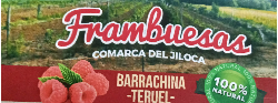 ZABAL FRANCO, SANDRA