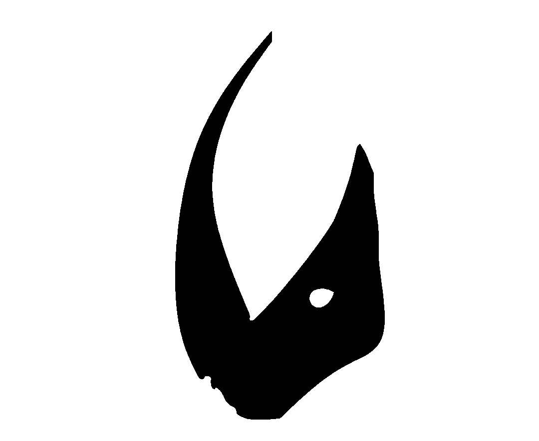 RHINOTEX TECHNOLOGY S.L.