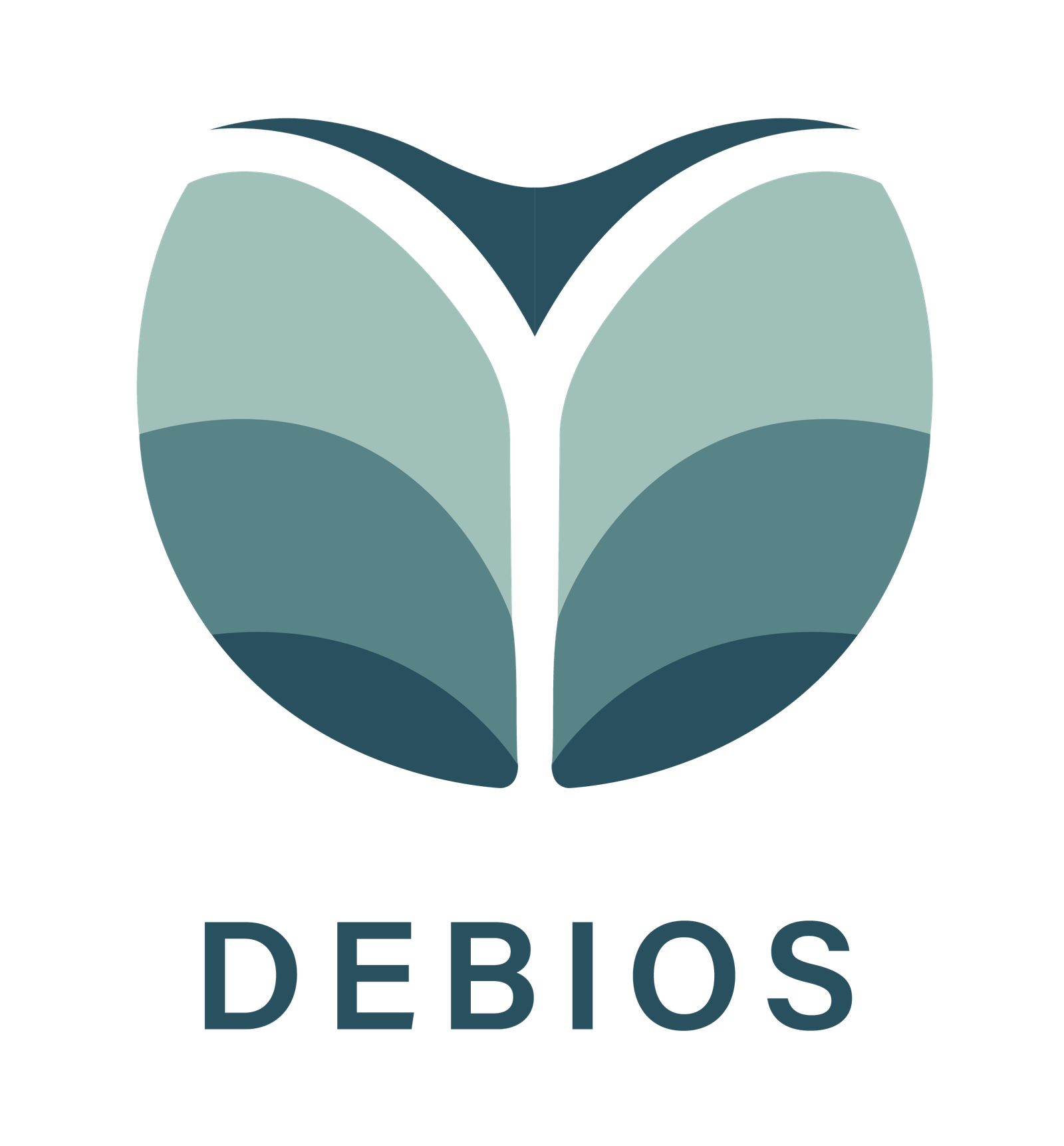 DEBIOS DIAGNOSTICS S.L.