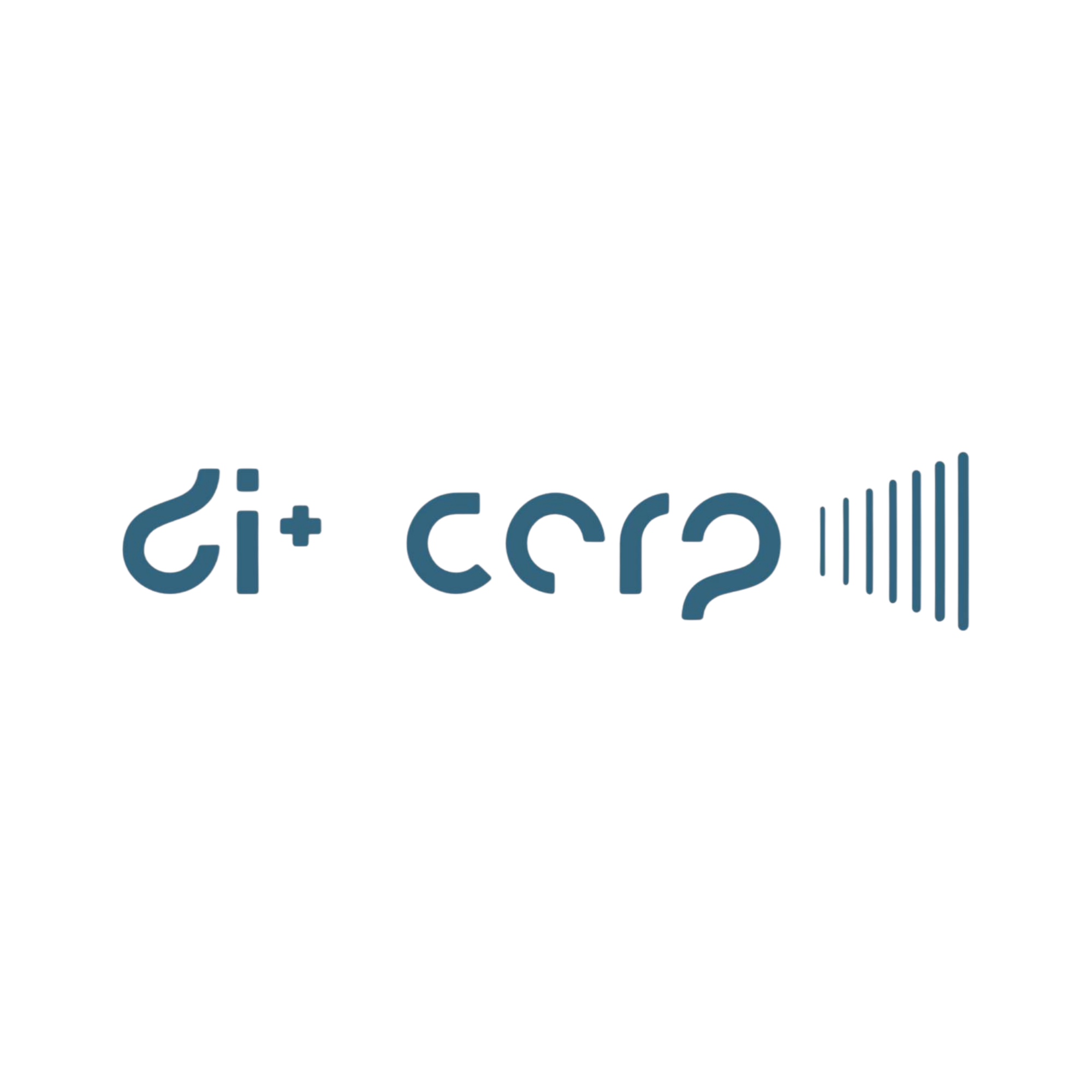 DIMASCORP SL.