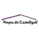 VINYES DE CASTELLGALI S.C.P.